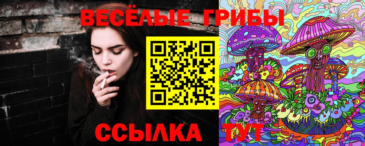 Галлюциногенные грибы Cubensis Нижний Новгород